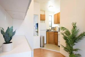 a kitchen with a potted plant in a room at Renovated 1br in East Village in New York