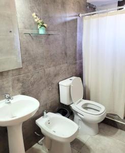 La salle de bains est pourvue de toilettes blanches et d'un lavabo. dans l'établissement Hospedaje El Toltén, à Junín de los Andes
