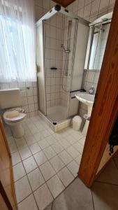 a bathroom with a shower and a toilet and a sink at Ferienwohnung Hanne in Netphen