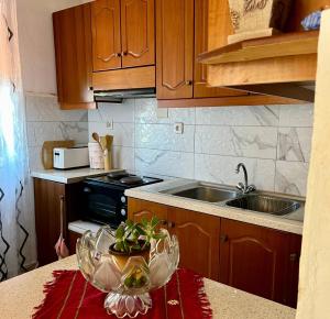 una cocina con fregadero y un tazón con una planta sobre una mesa en Liza's, en Lukovë