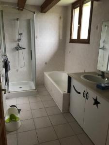 uma casa de banho com uma banheira, um chuveiro e um lavatório. em La Fermette Aux Lamas em Savigny-Lévescault