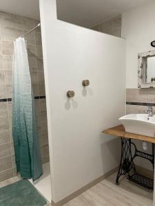 a bathroom with a shower and a sink at Le Moulin de Gueuzon in Rochefort-en-Terre