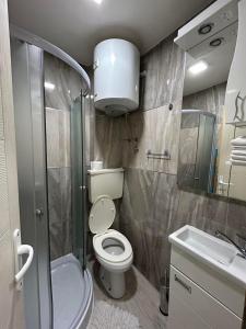 a small bathroom with a toilet and a sink at Apartman Marina Aranđelovac in Arandjelovac