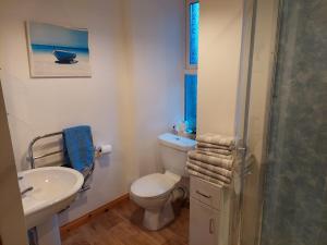 La salle de bains est pourvue de toilettes, d'un lavabo et d'une douche. dans l'établissement 8 Firth Square, à Kirkwall