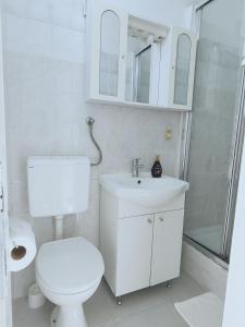 a bathroom with a toilet and a sink and a shower at Marko apartment in Rovinj +4 photos
