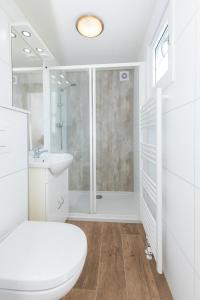 een badkamer met een douche, een toilet en een wastafel bij Chalet Plantlust in Veere