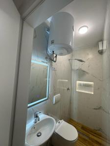 W łazience znajduje się umywalka, toaleta i lustro. w obiekcie Keli’s apartment w Tiranie
