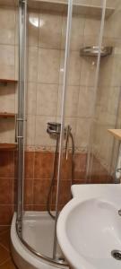 La salle de bains est pourvue d'une douche, de toilettes et d'un lavabo. dans l'établissement Novalja Zrce Iva Apartment II, à Novalja