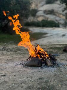 un fuego en una roca en el suelo en Orion's wild camp, en Dana