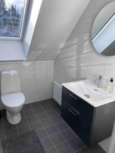 ein Badezimmer mit einem WC, einem Waschbecken und einem Spiegel in der Unterkunft Hus precis intill sjö in Lindome