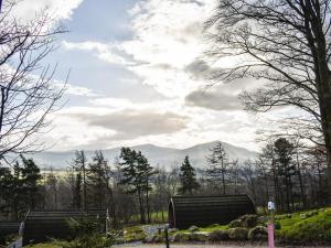 a view of the mountains from a park at Tarn Cottage - Uk42803 in Mungrisdale