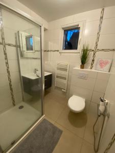 La salle de bains est pourvue d'une douche, de toilettes et d'un lavabo. dans l'établissement Douce Escale, à Strasbourg
