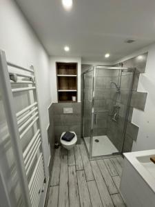 La salle de bains est pourvue de toilettes et d'une douche en verre. dans l'établissement Studio calme à 15min du centre, à Strasbourg