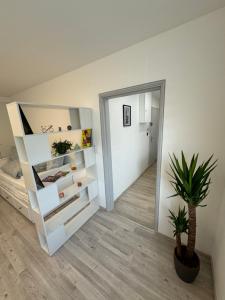 - une chambre avec un miroir et une plante en pot dans l'établissement Studio calme à 15min du centre, à Strasbourg