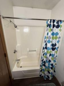 ein Bad mit einem Waschbecken und einem Duschvorhang in der Unterkunft Tomah Apartment A - E Veterans St in Tomah