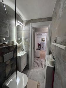 W łazience znajduje się prysznic, umywalka i toaleta. w obiekcie HUGO OLD TOWN w Belgradzie