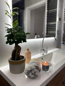 a bathroom sink with a potted plant and a candle at Apartament Masuria SPA Renata Rosłoń in Świętajno +68 photos