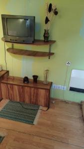 a living room with a tv on a wooden shelf at Remo Garten in Neubrandenburg