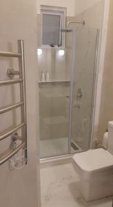 a bathroom with a shower and a toilet at Baires Art Decó in Buenos Aires +28 photos