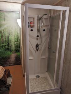a shower in a bathroom with a glass door at Appartment in der Auszeitoase Freystadt - 2 Zimmer, Billard, Sauna, Terrasse, Garten, Ladestation, nahe an Messe Nürnberg in Freystadt