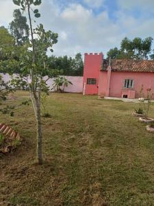 un pequeño árbol en un patio al lado de un edificio rosa en Casa do Mato I en São Lourenço do Sul