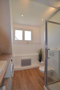 a bathroom with a toilet and a window at L'Hirondelle - Charming flat - in Blotzheim