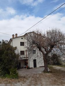 une maison blanche avec un arbre en face dans l'établissement quercia grande, à Casoli