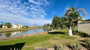 un albero nell'erba vicino a un fiume di LA DOLCE VITA VILLA 3 en-suites+large living spaces+glorious outdoor space:managed by Greenday a Rancho Mirage