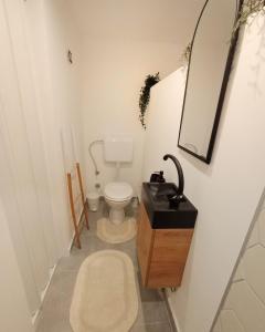 a small bathroom with a toilet and a sink at My Place Apartmani in Boljevac