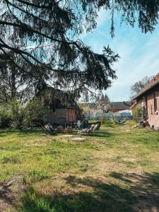 a yard with a tree and a house at Alte Schule Brandenburg in Sechzehneichen