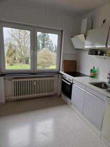 een keuken met een wastafel en 2 ramen bij Landvilla Dagobert in Malsfeld