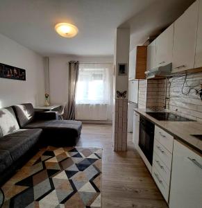 Majoituspaikan Apartament Elegant - Zona Alfa keittiö tai keittotila