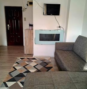 a living room with a couch and a flat screen tv at Apartament Elegant - Zona Alfa in Arad