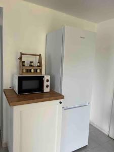 un forno a microonde su un bancone accanto a un frigorifero di Soleil d’ocre - Bastide à Roussillon a Roussillon
