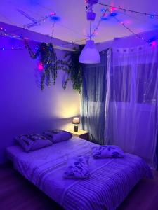 een paarse slaapkamer met een bed met een paars plafond bij Chez Stanislas in La Seyne-sur-Mer