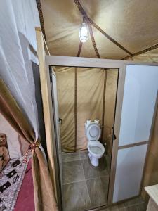 Najma Luxury Camp في مرزوقة: حمام صغير مع مرحاض في الغرفة