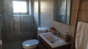 a bathroom with a sink and a toilet and a shower at Casa do Geraço - Douro Guest House in Várzea do Douro +61 photos