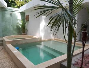 a swimming pool with a tub and a palm tree at Hotel Downtown Merida in Mérida