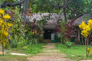 Um jardim em Ciamat Camp