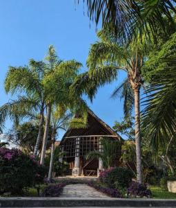 a building with palm trees in front of it at Rincón Natural PA in Puerto Aventuras
