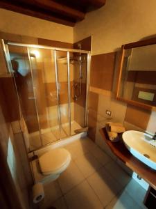 a bathroom with a shower and a toilet and a sink at Private Room in the Food Valley of Parma in Montechiarugolo