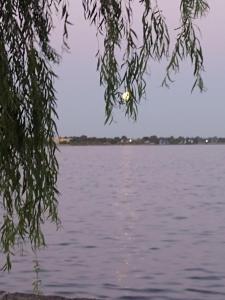 a view of a body of water through a tree at El Destino in San Miguel del Monte