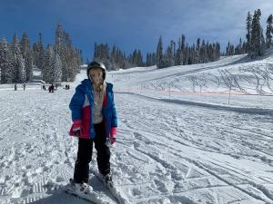 Gostje med bivanjem v nastanitvi High End A-Frame - Hot Tub - Awesome Views - Yosemite - Electric Vehicle Friendly - Sleeps 10