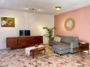 uma sala de estar com um sofá e uma televisão em Spacious artsy home with fast WiFi em Oaxaca de Juárez