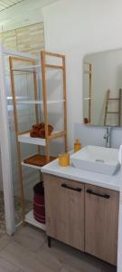 ein Bad mit einem Waschbecken und einem Spiegel in der Unterkunft LA ROSE DE CHAMP FLEURY in Labuthie