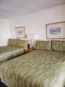 Postel nebo postele na pokoji v ubytování Budget Inn Durango