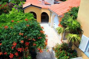 Zahrada ubytování Casa Bellavista