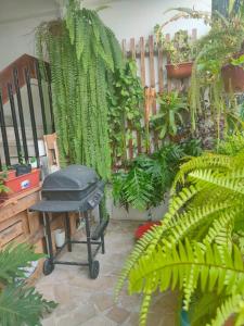 a grill in a garden with lots of plants at Bryslaungeguayaquil in Guayaquil
