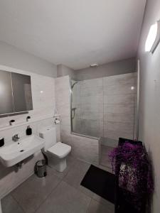 a bathroom with a toilet and a sink and a shower at Apt close to Temple Bar in Dublin