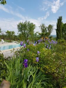 un jardín con flores púrpuras junto a una piscina en Les Maisons De Chante Oiseau en Sigonce